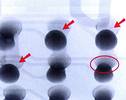 Figure 4. OVHM image of the same six solder joints shows where the joints are open